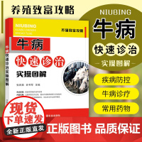 牛病快速诊治实操图解 牛病治疗全书 兽医 牛病诊断及治疗 牛场选址与布局 牛场饲养管理 牛病诊疗技术 养牛技术书籍
