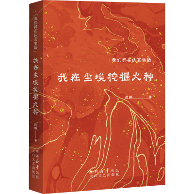 我在尘埃挖掘火种