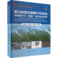 正版新书]松辽盆地北部源下致密油形成条件与"甜点"评价技术应用
