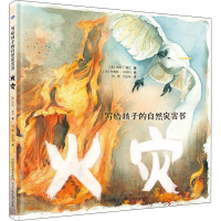 音像火灾(澳)杰西·弗兰