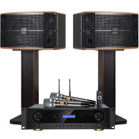 山水(SANSUI)FK-101 家用电视客厅音响套装 大音箱 FK101三分频10单元音响+功放+美声U段话筒