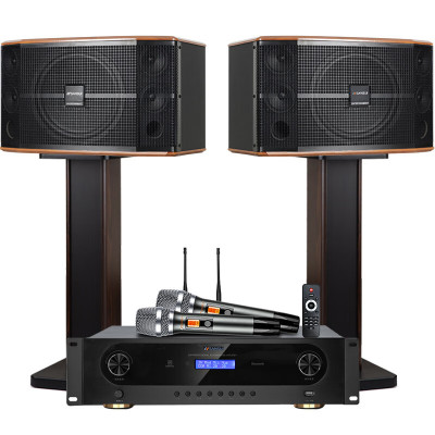 山水(SANSUI)FK-101 家用电视客厅音响套装 大音箱 FK101三分频10单元音响+功放+美声U段话筒