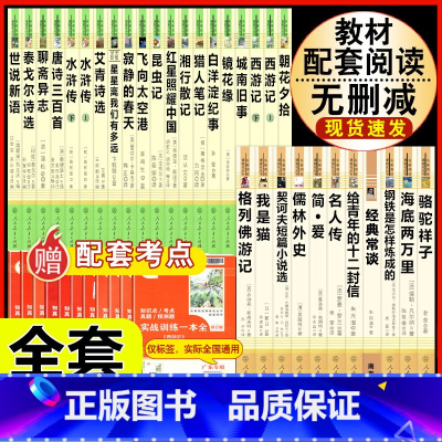 [人教版 31册]七八九年级上下册初中名著全套(含城南旧事) [正版]西游记原着国一上册语文阅读必读四大名着 人民教育出