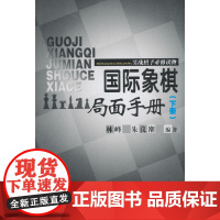 国际象棋局面手册:实战棋手必修读物(下册) 林峰 人民体育出版社 正版书籍