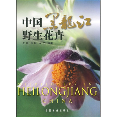 [M]中国黑龙江野生花卉-9787503852701