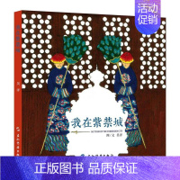 [正版]书籍 我在紫禁城 吴洋图文 五洲传播出版社 旅游地图 9787508540900