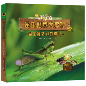 正版新书]昆虫和它们的亲戚韩雨江 陈琪9787574400429