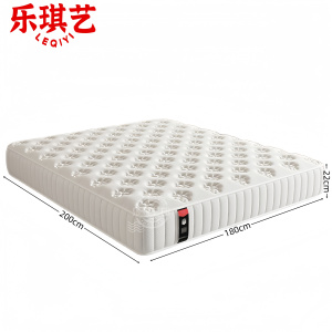 乐琪艺