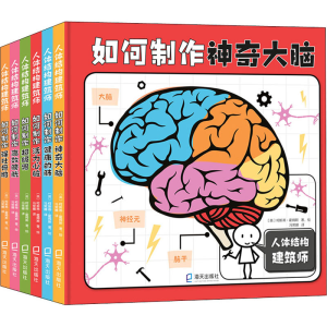 人体结构建筑师(全6册) (英)柯斯蒂·霍姆斯 著 冯常娜 译