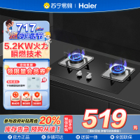 海尔(Haier)燃气灶双灶 天然气灶 家用双灶具 5.2KW大火力 一级能效 瞬燃点火熄火保护煤气灶双灶Q2BE3