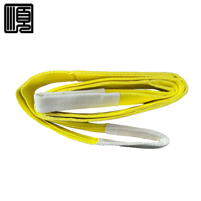 顺心捷 扁平吊装带 3T5M 个