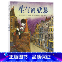 生气的亚瑟 精装 [正版]生气的亚瑟硬壳精装图画书启发绘本获英国鹅妈妈奖适合2岁以上亲子阅读童书