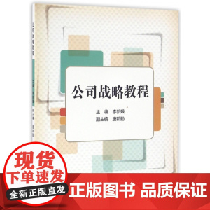 公司战略教程
