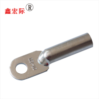 鑫宏际 金具 铜接线端子 铜鼻DT-50(单孔镀锡)/个