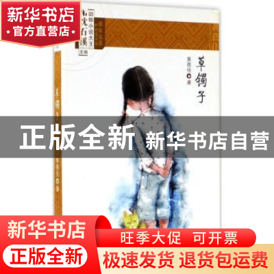 正版 草镯子 黄蓓佳著 新世纪出版社 9787558304750 书籍