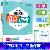 语文.人教版 九年级下 [正版]通成学典 初中语文基础知识组合训练9九年级下册人教版单元课时同步练习初三语文基础知识积累