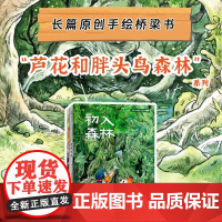 芦花和胖头鸟森林系列桥梁书 4-11岁 幻想冒险题材 儿童绘本