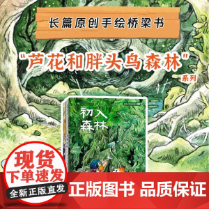 芦花和胖头鸟森林系列桥梁书 4-11岁 幻想冒险题材 儿童绘本