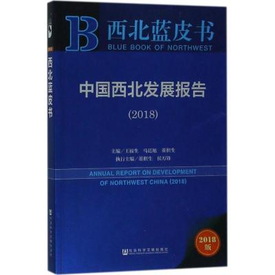中国西北发展报告.2018