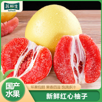 [苏鲜生]新鲜福建平和三红柚 红心柚 4.5斤 2个 中果 新鲜柚子水果 蜜柚