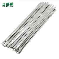 亿维顿 不锈钢扎带 7.9*800mm 100根 包