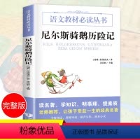 [正版]老师尼尔斯骑鹅历险记无删减原著 小学三年级必读的课外书旅行记9-12岁小学生课外阅读书籍四五六年级儿童故事书6