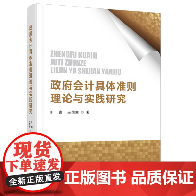 政府会计具体准则理论与实践研究