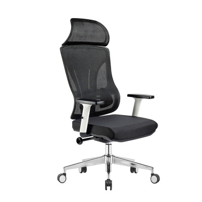 臻远 ZY-8958 办公椅人体工学椅转椅 定型棉白框 单位:把