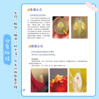 [M]万物有灵且萌 脑洞大开的照片漫画绘 唯佳酱 著 -9787115551917