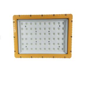 普罗斯(Plusrite)LED防爆投光灯PLUS-TG-50W(预售:15天内发货)