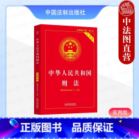 [正版] 中华人民共和国刑法 实用版 第十版10版 法制 根据刑法修正案十二修订 条文主旨司法解释 刑事类司法解释 刑
