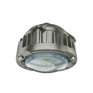 欧辉照明 (OHUIZAOMIN) LED防爆灯 OHBF9185 10W DC12V 台 灰色