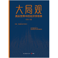 正版新书]大局观 真实世界中的经济学思维何帆9787513921053
