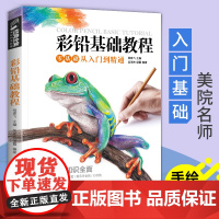 彩铅基础教程