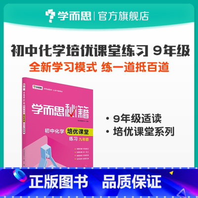 [正版]秘籍 初中化学 课堂练习九年级 中考化学典型例题详解 知识点全面复习