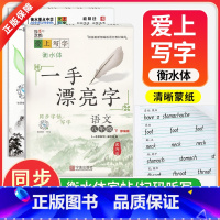 语文 七年级上 [正版]一手漂亮字七年级下册语文英语字帖人教版衡水体英语字帖八年级下册语文同步字帖初中生语文英语同步描摹