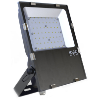 立华王 LH6500-B 100W IP65 AC220V 固定式LED灯具