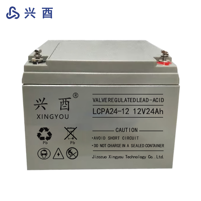 兴酉 蓄电池 12V24Ah 节