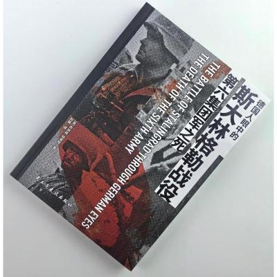 德国人眼中的斯大林格勒战役:第六集团军之死