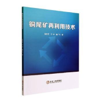 音像铜尾矿再利用技术张冬冬,宁平,瞿广飞著