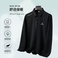 啄木鸟官方旗舰店长袖t恤男爸爸2025新款春装冰丝polo衫中年上衣