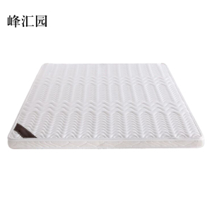 峰汇园椰棕床垫家用棕垫6cm防螨抗菌(0胶水天然椰棕+软硬两用+全拆洗)900mm*2000mm