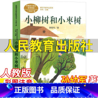 小柳树和小枣树 [正版]小柳树和小枣树孙幼军著二年级下册课外书人民教育出版社彩图注音版人教版语文配套阅读王林主编课文作家