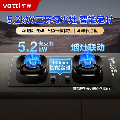 华帝(vatti)燃气灶家用5.2kW 嵌入式定时猛火灶 可调节免扩孔70%热效率 烟灶联动灶具i10309D(天然气)