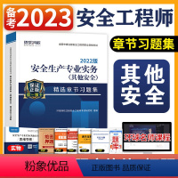 [正版]新版 环球网校备考2024年注册安全师工程师考试习题集其他安全专业 中级注安师用书习题题库 可搭配生产管理