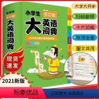 [正版]英语词典2021全新版 一二三四五六年级英汉双解大词典 小学生全多功能成语词典大全字典英文单词语法工具书大开本