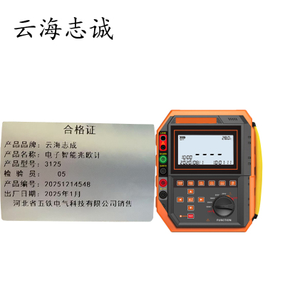 电子智能兆欧计 3125 1套