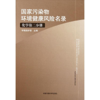 音像污染物环境健康风险名录(化学第2分册)丁文军