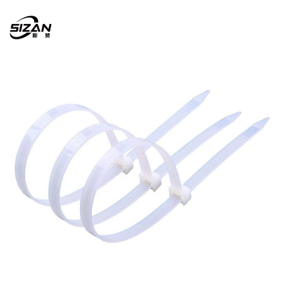 斯赞 自锁式塑料尼龙扎带 10*700mm 100条/包