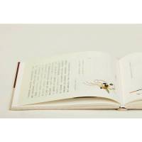 与正仓院的七次约会:奈良博物馆观展散记